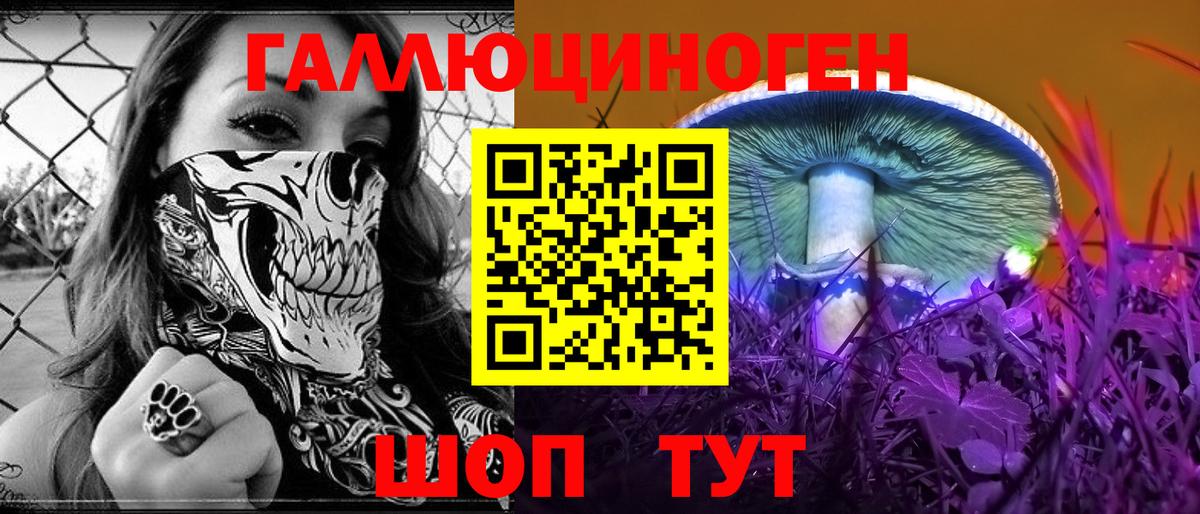 Псилоцибиновые грибы Cubensis Подольск